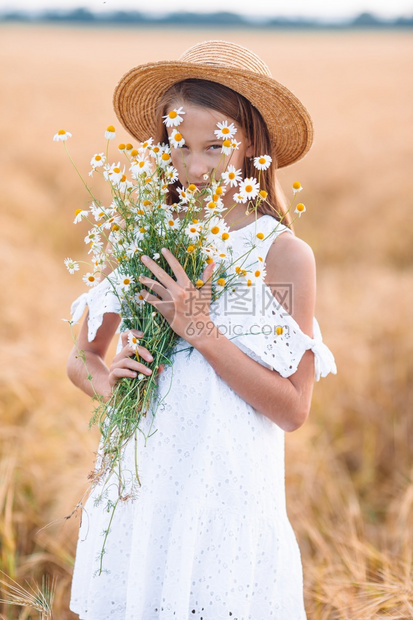 夏日小麦田可爱的女孩在麦田户外的快乐可爱的女孩粮食洋甘菊图片