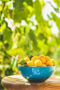 有机的矿物质绿色自然背景的黄樱桃李子蓝色碗里滴水在花园阳光明亮的绿天下团体图片