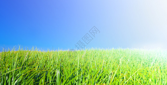 绿草和蓝天空土地超过质图片