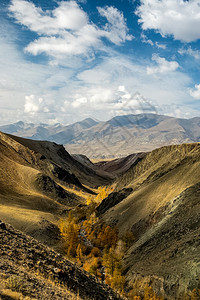 阿尔泰山和间峡谷的自然景观阿尔泰山和间峡谷的自然景观植物群户外石头图片