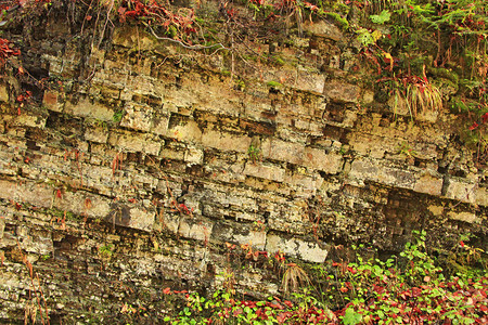 土壤山岩层石地质学喀尔巴阡山脉岩层地质学美丽的野图片