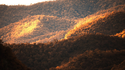 生动范围冬季山区森林的景观日光照在清晨多彩森林抽象的阴影和子假日期度概念节日观赏云图片