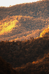 聚光灯季节天冬山区森林的景观日光照在清晨多彩森林抽象的阴影和子假日期度概念节日观赏图片