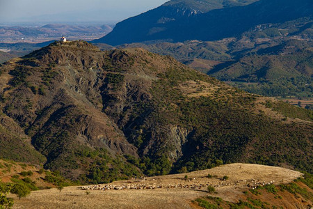 牛非城市希腊Thessalia山区高原上牧羊人以及和山的全景在遥远山丘上有教堂会图片
