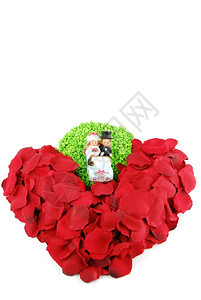 白种背景的玫瑰花瓣所形成的美丽红心浪漫甜的束图片