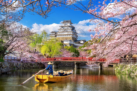 吸引力日本仁济的樱花和城堡天空季节图片
