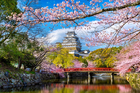 公园东方的日本仁济樱花和城堡地标图片