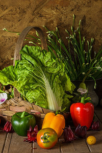蔬菜草和水果作为烹饪的原料农业叶子收成图片