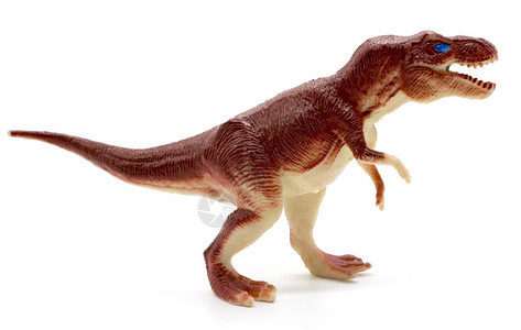 古老的白背景暴龙恐玩具动物灭绝图片