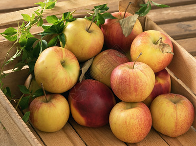 吃新鲜的红苹果叶子放在质朴的桌上木箱里特写秋天的收获时间静物画新鲜的红苹果叶子放在质朴的桌上木箱里野生葡萄叶秋天的收获静物特写木图片