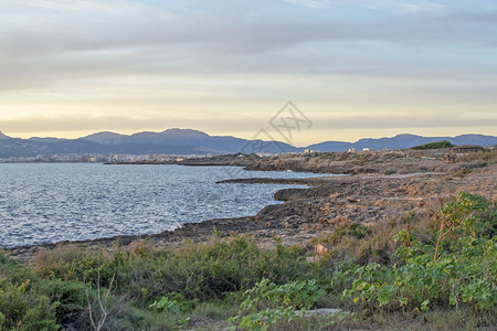 目的地远西班牙马洛卡岛PalmadeMallorca外的下午地中海沿岸岸洋以冲自然绿色和岩石海岸线广阔的图片