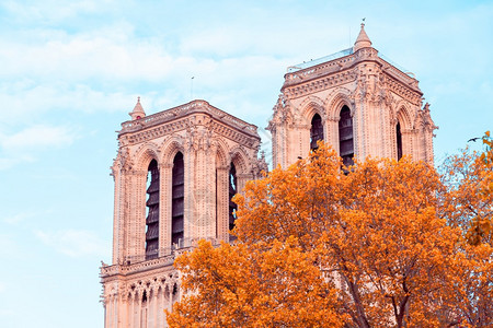 历史蓝色的再生巴黎圣母院大教堂法国高塔和金树的特写秋天美妙的哥特式建筑巴黎圣母院大教堂法国图片
