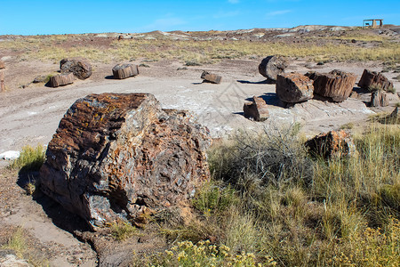 外部亚利桑那州6号公路上的贾斯珀森林被石化公园石化的旅行图片
