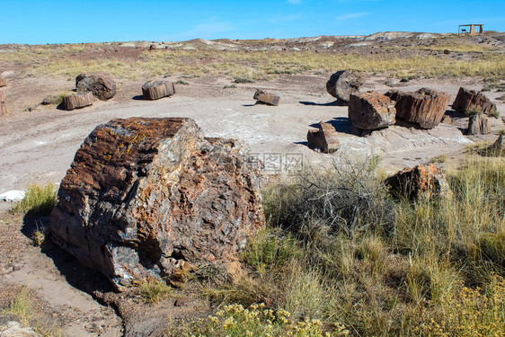 外部亚利桑那州6号公路上的贾斯珀森林被石化公园石化的旅行图片