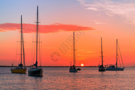 晚上博内尔岛五艘帆船在日落时一起海上航行景观图片