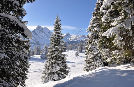 冬季雪景风光图片