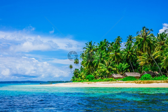 水热带岛屿景观印度尼西亚东南Banyak群岛树松弛图片