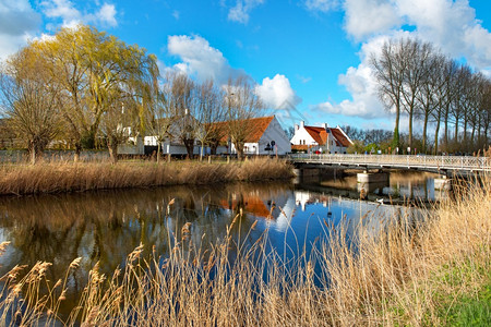 传统的比利时布鲁格附近的小Damme村的一幅图片景柳观图片