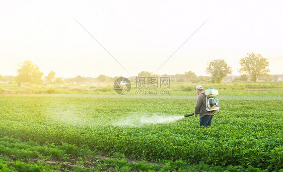 行业蔬菜农民使用喷雾器吹风者处理来自虫害和真菌感染的马铃薯种植作物加工保护和理在农业和综合企中使用化学品收成图片