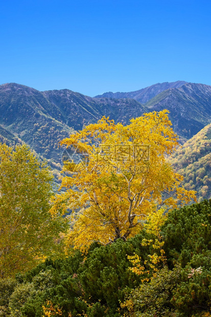 美丽的秋天山中景色图片