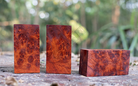 木板自然材缅甸Padaukblurl木条纹外形制质美工艺术或背景图案科学名称为Pterocarpusmascarpus内部的控制图片