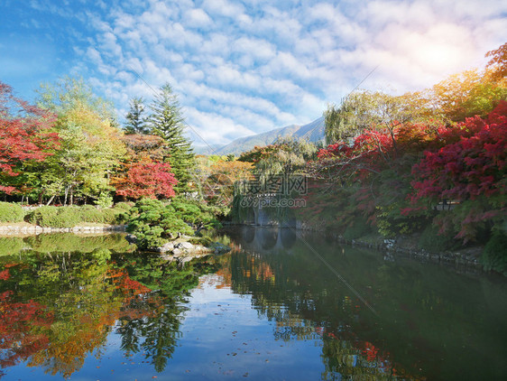 南韩京州海滨上反射着美丽的瀑布颜色森林景观在南韩清州国水叶子图片