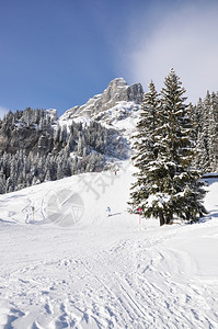 冬季雪景风光图片