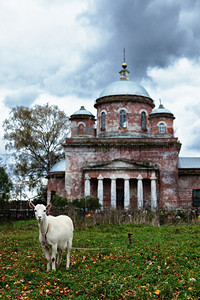 俄语云农村秋天风景旧教堂附近有牧羊偏僻的图片