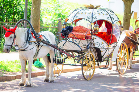 鹅卵石假期城市欧洲老街上的传统马车的骑教练欧洲的菲克Fiaker图片
