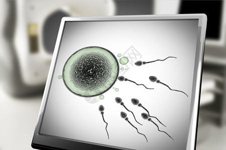 再生产实验室中监测的精子和蛋细胞脱氧核糖酸第一的图片