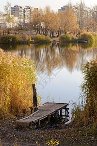 自然乌克兰基辅秋季靠近湖边的浮桥和芦苇秋天水图片