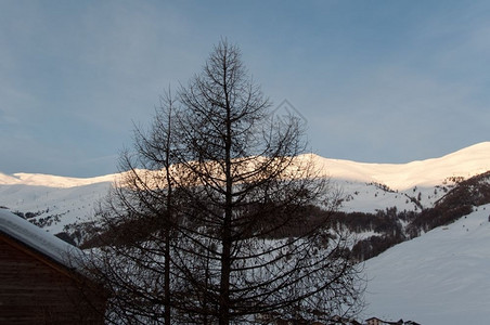 冬季雪地风光图片