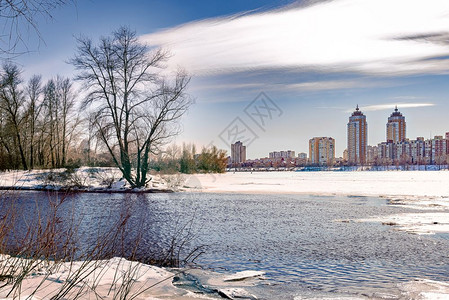 冬季高地建筑背景中靠近基辅冷冻的迪尼佩尔河柳树木和花粉林杨雪植物图片