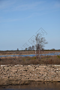 春天库尔曼石方在瑞典的奥兰岛一片淹水的风景中春前古老的石墙图片