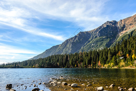 美丽的秋天山地貌美丽湖和森林位于岩石山脚边与蓝天空相对颜色季节斯洛伐克图片