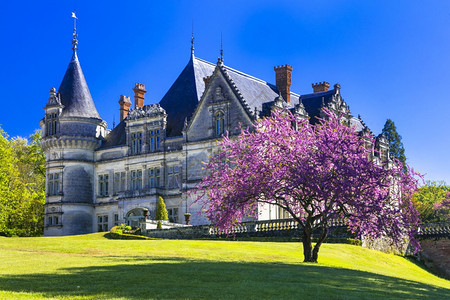 建造卢瓦尔河谷浪漫美丽的城堡法国布尔代西埃城堡法国卢瓦尔河谷美丽的城堡全景如画图片