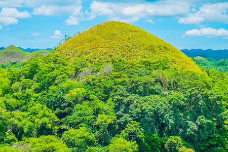 季节菲律宾博霍尔岛著名的巧克力山自然地标菲律宾博霍尔岛森林户外图片