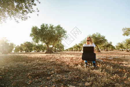 坐在橄榄树田里的拥有笔记本电脑的年轻妇女树叶工作西班牙图片