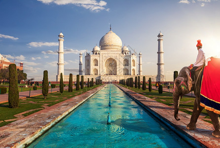 旅游泰姬马哈勒和印度大象上的一名印度男子阿格拉著名的纪念碑图片