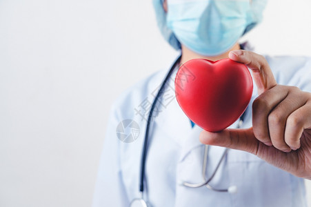 保持军医生用白色背景的听诊器和心科医生概念心脏捐赠和救生保健主题将红心放在医生手上对白底病进行听诊检查心跳图片