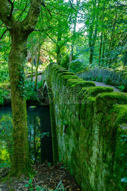 风景观郁葱JesmondDene公园古老石桥和水流的浪漫景象夏季下午在联合王国纽卡斯尔邦泰恩图片