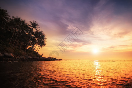 休息室泰国热带日落普吉岛令人惊叹的热带日落布吉岛风景和目的地海黎明图片