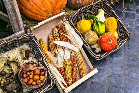 罗马的蔬菜和水果市场CampodiFiori罗马的各种混合蔬菜将健康的有机食品Pumpkins和玉米紧闭在一起自然各种样的异端图片