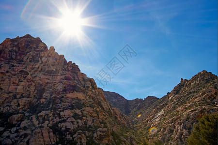 植物群加利福尼亚仙人掌观察Mojave沙漠红岩峡谷的干地和红岩形成情况图片
