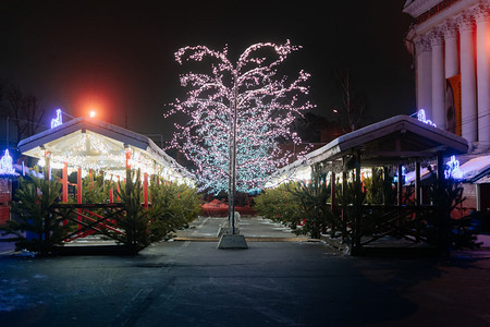 快乐的第比利斯圣诞夜街有很多节日装饰品的圣诞节庆典图片