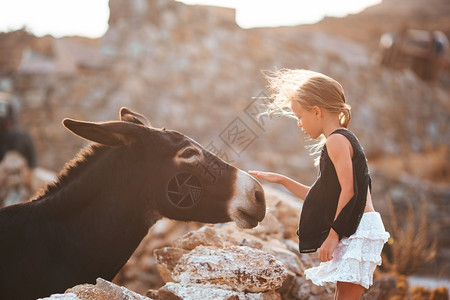喜悦小女孩在希腊岛骑驴小姑娘在密科诺斯岛骑驴小姑娘在米科诺斯岛骑驴漂亮的户外图片