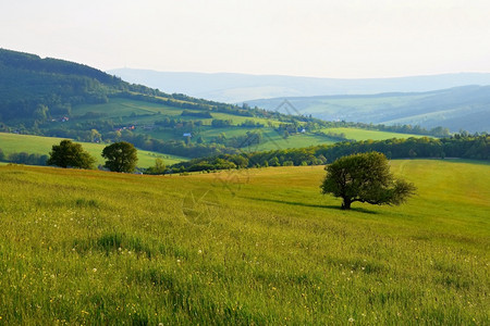 捷克白喀尔巴阡山脉欧洲森林草原和山丘的自然景象夏季山区美丽的地貌晴天景观贝斯基迪图片