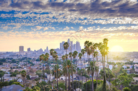 著名的红色天空洛杉矶美丽的日落市中心天际和棕榈树在地上图片