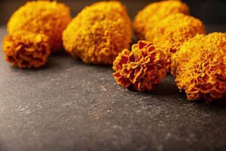 Cempasucheil橙色花朵或MarigoldTagetes在墨西哥纪念死者日的祭坛上传统用法万圣节供品自然图片