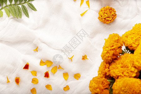 植物亡灵Cempasucheil橙色花朵或MarigoldTagetes在墨西哥纪念死者日的祭坛上传统用法华丽图片